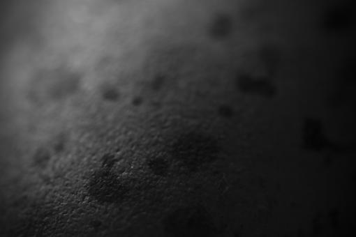 Free Stock Photo of Egg Shell Macro