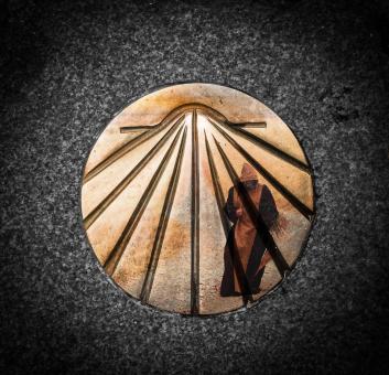 Free Stock Photo of Pilgrim Shell