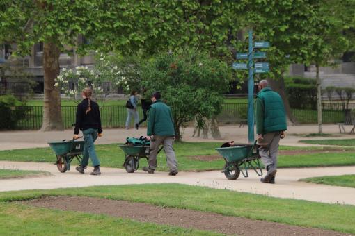 Free Stock Photo of Little green men invading a public garden!