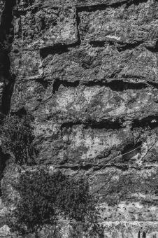 Free Stock Photo of Grunge Monochrome Wall Texture