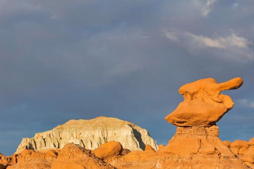 Free Stock Photo of Goblin Duck Valley