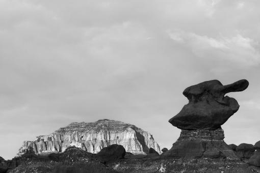 Free Stock Photo of Goblin Duck Valley - Black & White