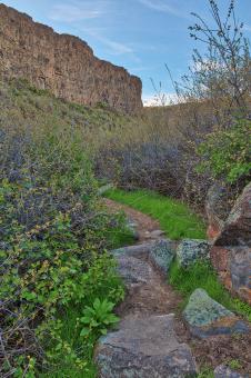 Free Stock Photo of Box Canyon Spring Trail
