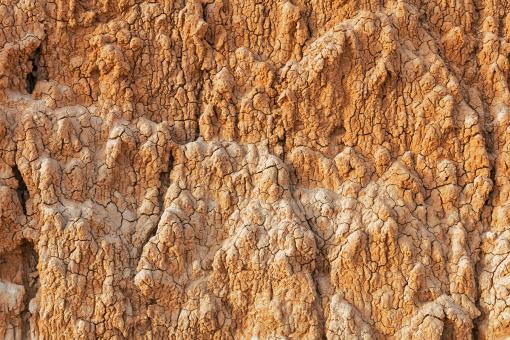 Free Stock Photo of Golden Cracked Clay