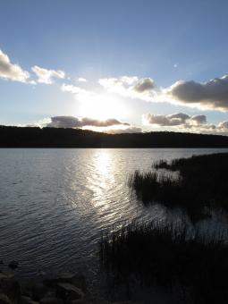 Free Stock Photo of Lysterfield Lake Sunset