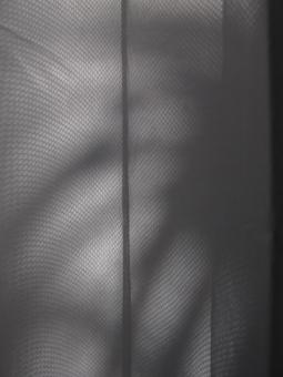 Free Stock Photo of Abstract Shadows on Curtains