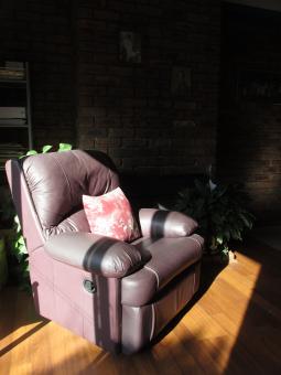 Free Stock Photo of Couch in Sunny Reading Room