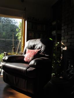 Free Stock Photo of Leather Couch in Reading Room