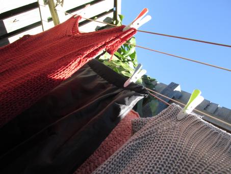 Free Stock Photo of Wet clothes on laundry line