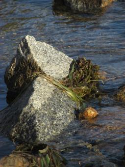 Free Stock Photo of Boulders in Calm lake water