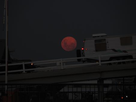 Free Stock Photo of Red moon over Melbourne evening sky