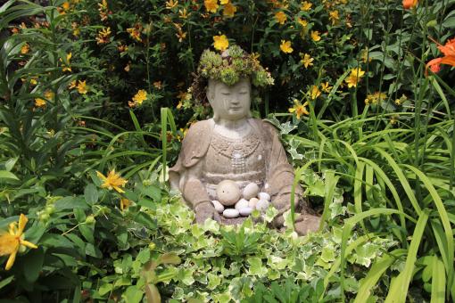 Free Stock Photo of Stay Zen