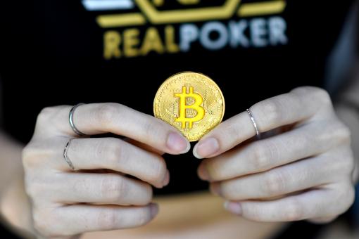 Free Stock Photo of Female holding a single bitcoin