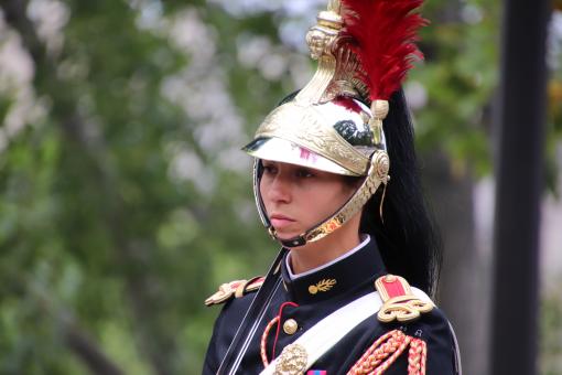 Free Stock Photo of French woman horse guard
