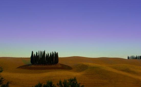 Free Stock Photo of Cypress Trees - Typical Landscape of Tuscany