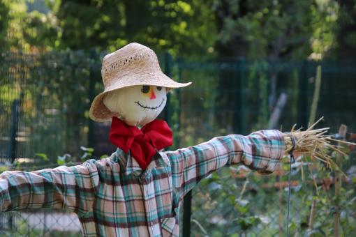 Free Stock Photo of Funny and gentle scarecrow in a garden