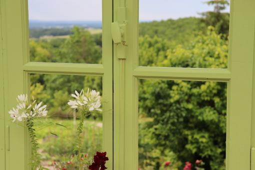 Free Stock Photo of Green Window in Summer