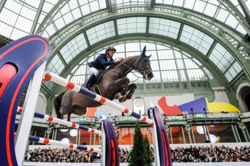 Free Stock Photo of Rider jumping in the grand palais in Paris