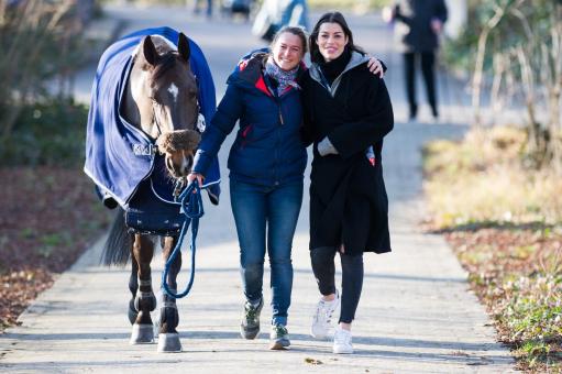 Free Stock Photo of Friends with a Horse