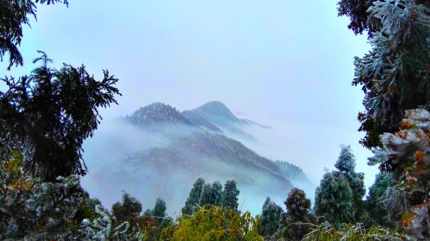 Free Stock Photo of The sea of clouds and rime