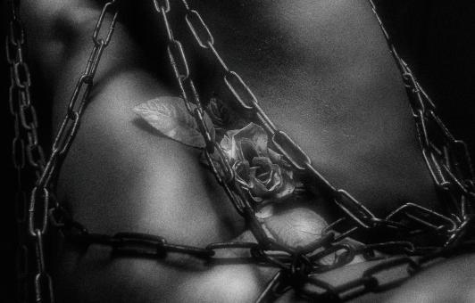 Free Stock Photo of Rose and Chains - Black and White Art