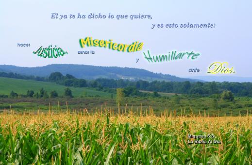 Free Stock Photo of Humillarte Ante Dios