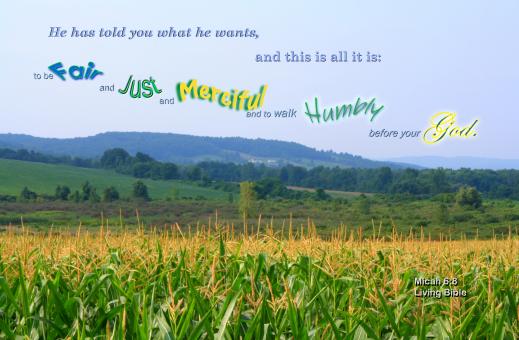 Free Stock Photo of Walk Humbly with God