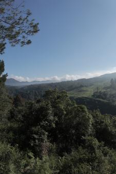 Free Stock Photo of Morning in Lembang, Indonesia