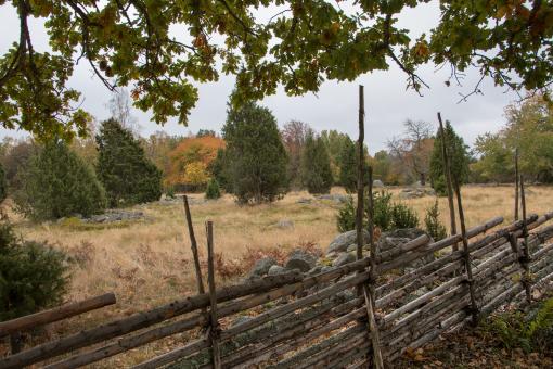 Free Stock Photo of Old school fence