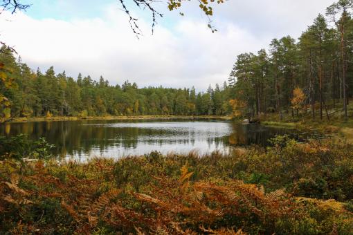 Free Stock Photo of Lake in old national park