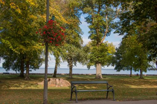 Free Stock Photo of A Place to Sit