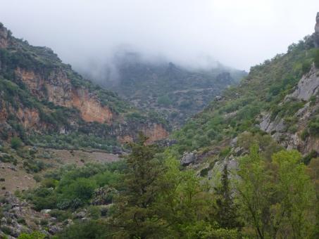 Free Stock Photo of Ashur Park inside the countryside mountains