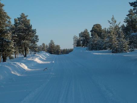 Free Stock Photo of Skiing in Winter