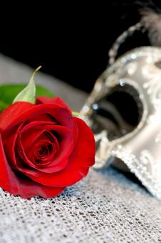 Free Stock Photo of Mask and Red Rose for Valentines Day