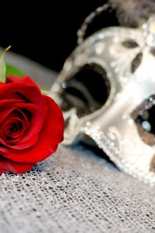 Free Stock Photo of Rose and Mask - Valentines Day