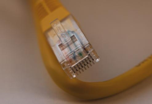 Free Stock Photo of Lan Cable Connector