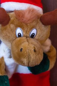 Free Stock Photo of Plush Christmas Toy
