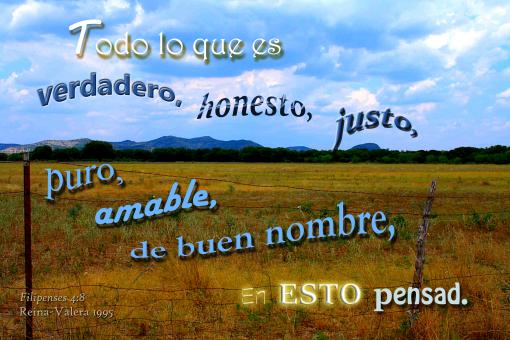 Free Stock Photo of En Esto Pensad