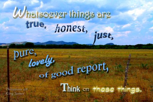Free Stock Photo of Think on These Things