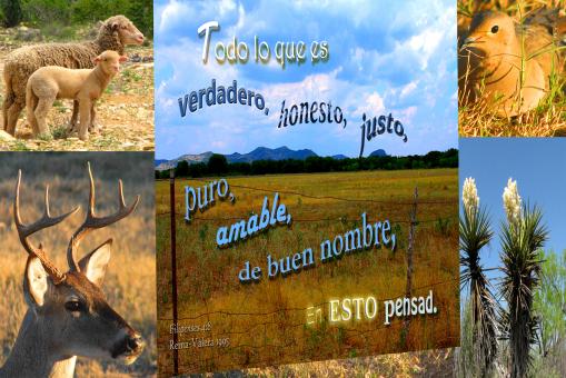 Free Stock Photo of En Esto Pensad