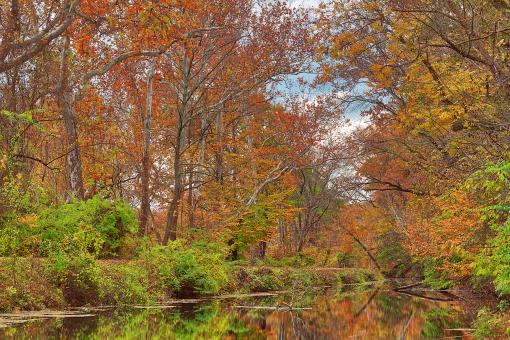 Free Stock Photo of Autumn Canal - Swains Lock