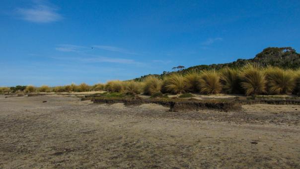 Free Stock Photo of Beach against the blue sky