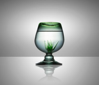 Free Stock Photo of Crystal Glass with Cactus