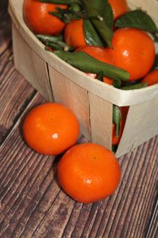 Free Stock Photo of Ripe Fruits - Oranges