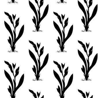 Free Stock Photo of Floral Nature Seamless Vector Pattern