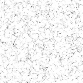 Free Stock Photo of White Marble Texture