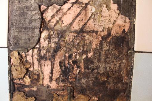 Free Stock Photo of Grunge Textured Wall