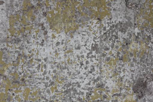 Free Stock Photo of Green and Gray Old Concrete Texture