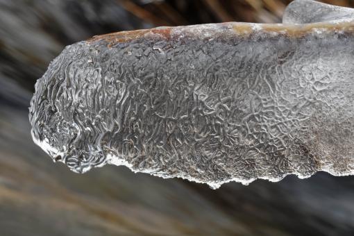 Free Stock Photo of Frozen Winter Stream