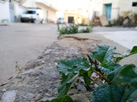 Free Stock Photo of Ground View